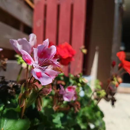 펜션 Beau Site, Avec Terrasse *